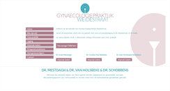 Desktop Screenshot of gynaecologiepraktijkweidestraat.be